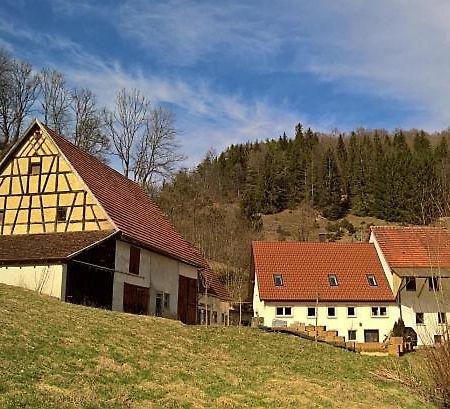 Muehlenchalet Villa Gundershofen Bagian luar foto